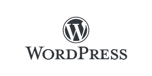 10-wordpress