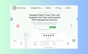 Everhour time tracking tools