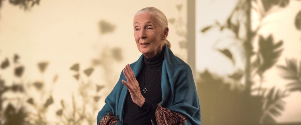 Teaches Conservation Dr. Jane Goodall