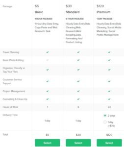 Virtual Assistant Service Packages