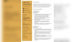 Resume for Virtual Assistant